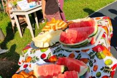 IMG20250828173140